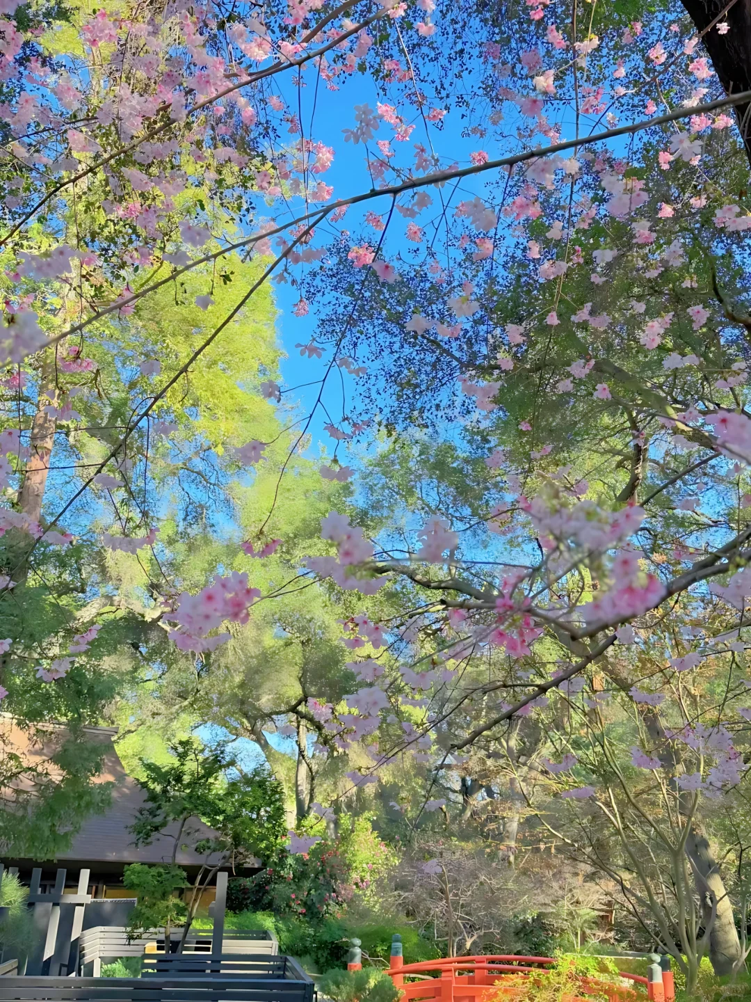 洛杉矶3月这七个免费景点!少去一个都损失