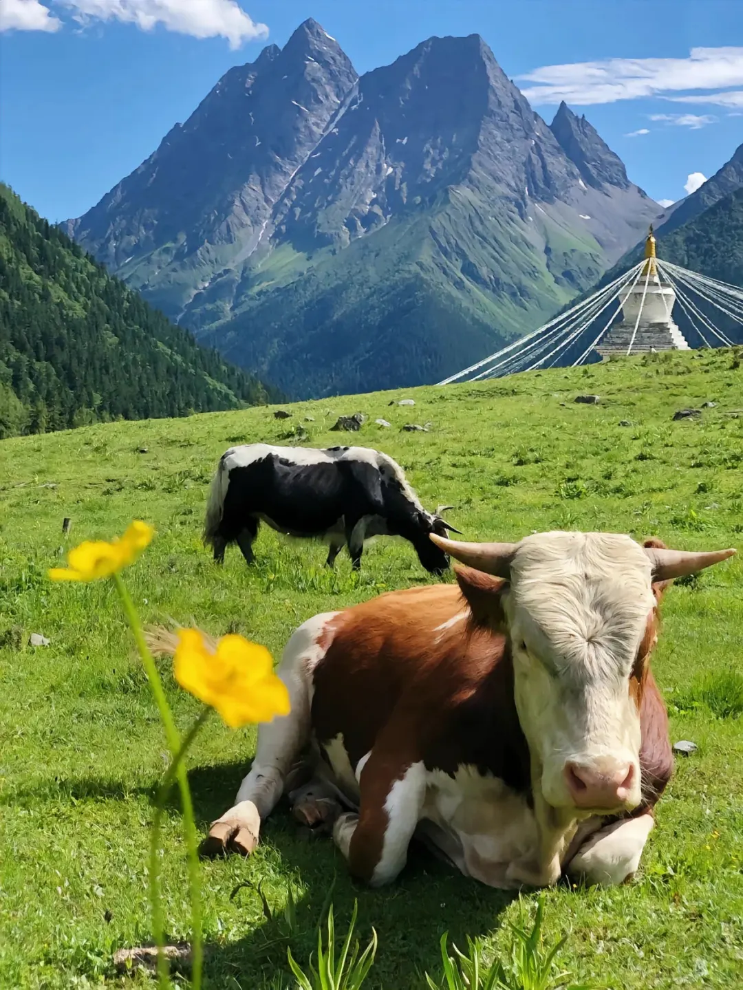 四姑娘山即将迎来封神的季节‼️