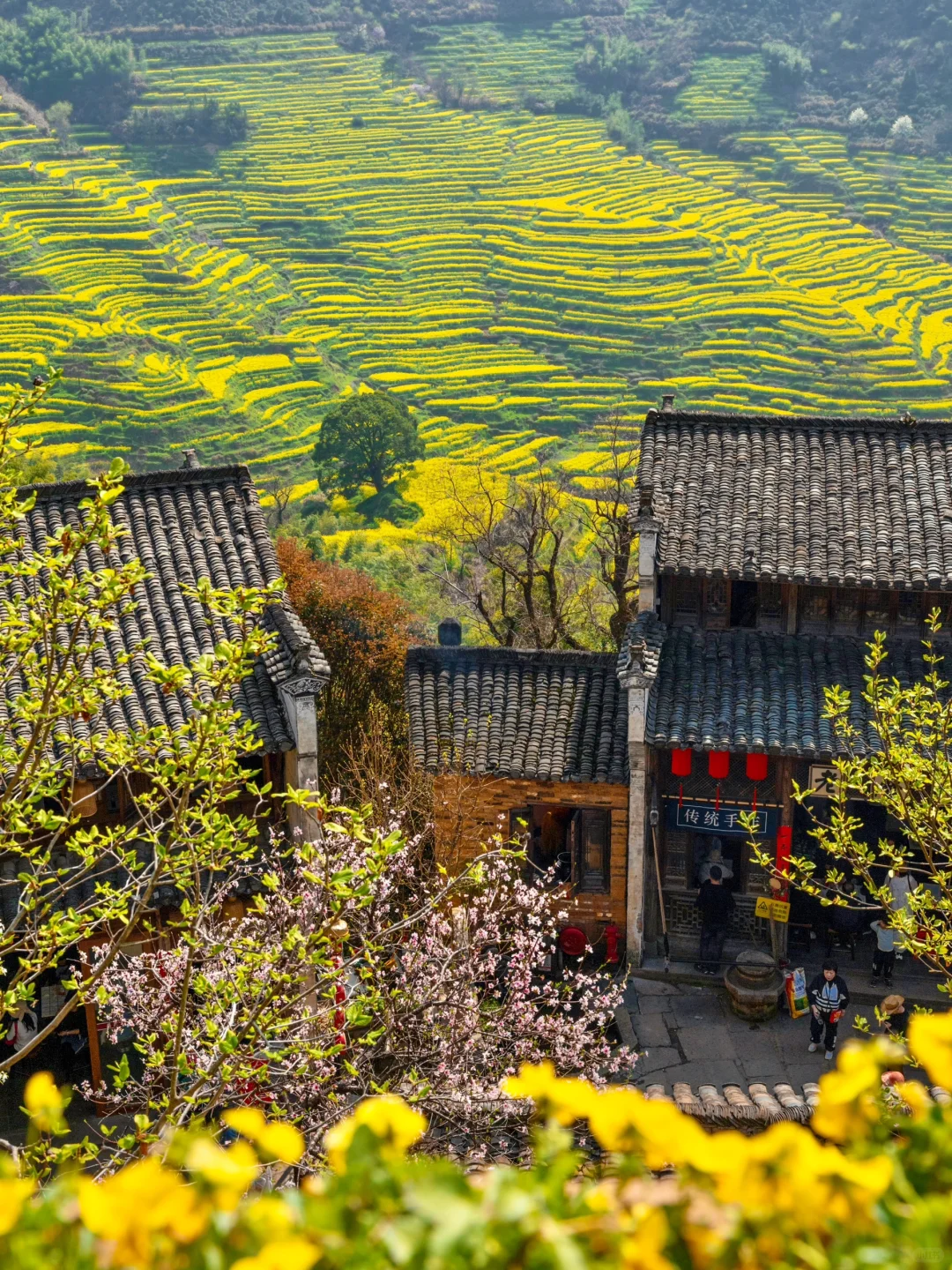 比起景德镇，我更爱国家地理推荐的春日小城…