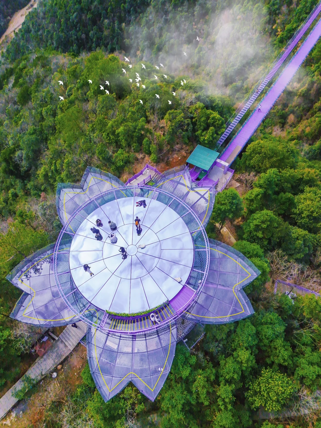 爱死这个比迪士尼更好玩的户外乐园了‼️