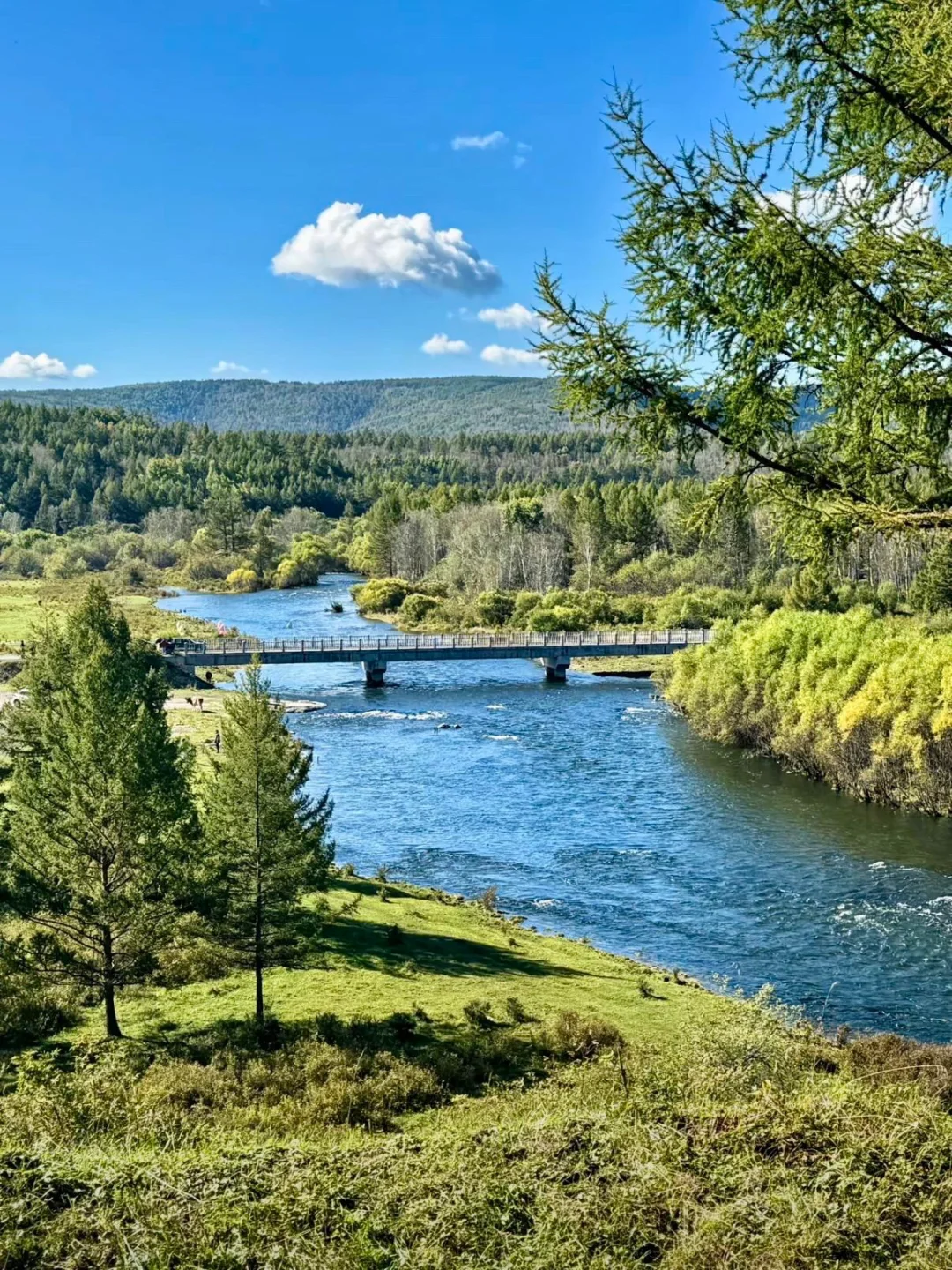 你以为阿尔山只是个小众景点？直到我亲眼看