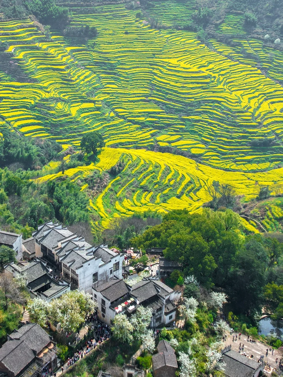 比起景德镇，我更爱国家地理推荐的春日小城…