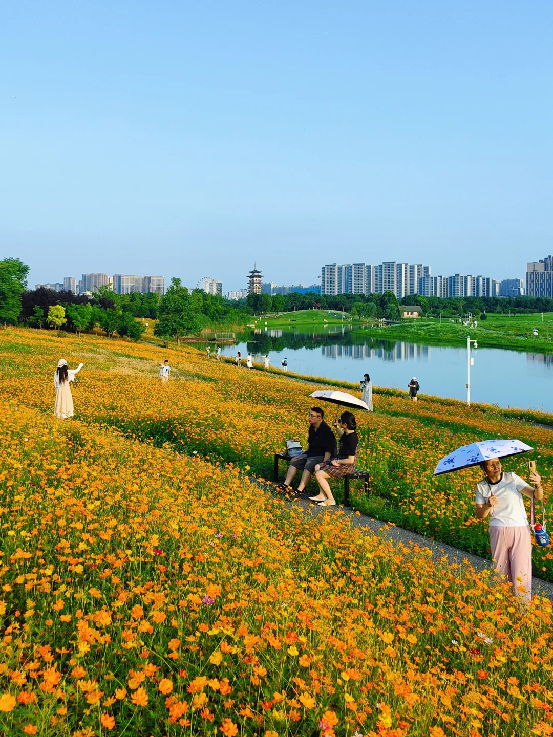 长沙十日晴！接下来是万万次的春和景明～