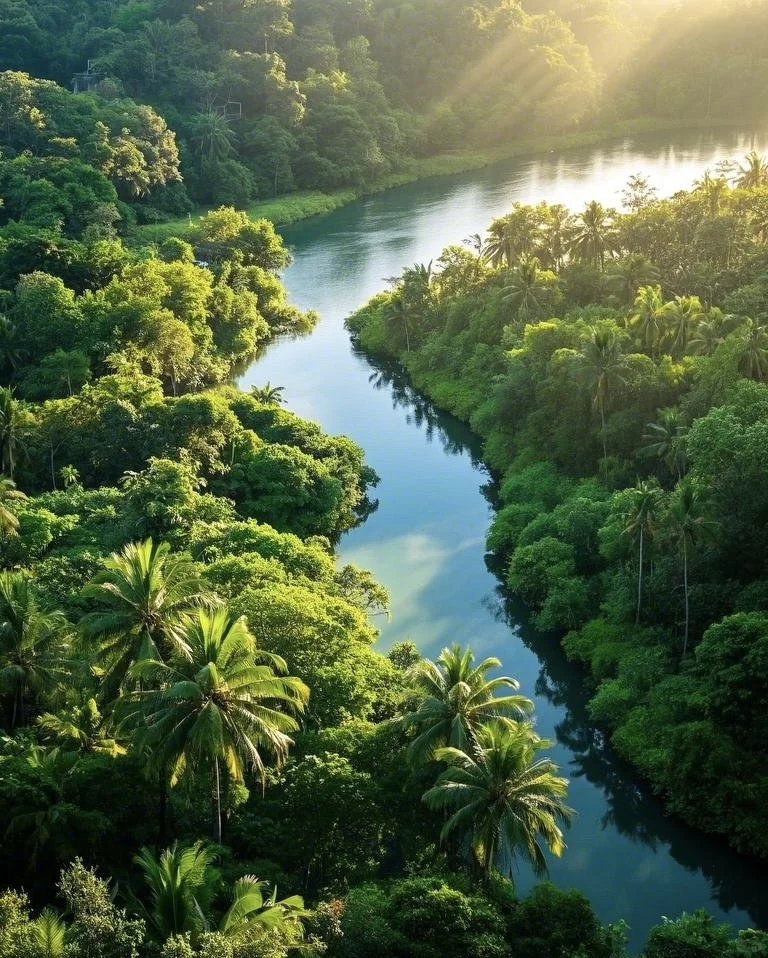 西双版纳，劝你们别来，怕你们来了不想走！！！