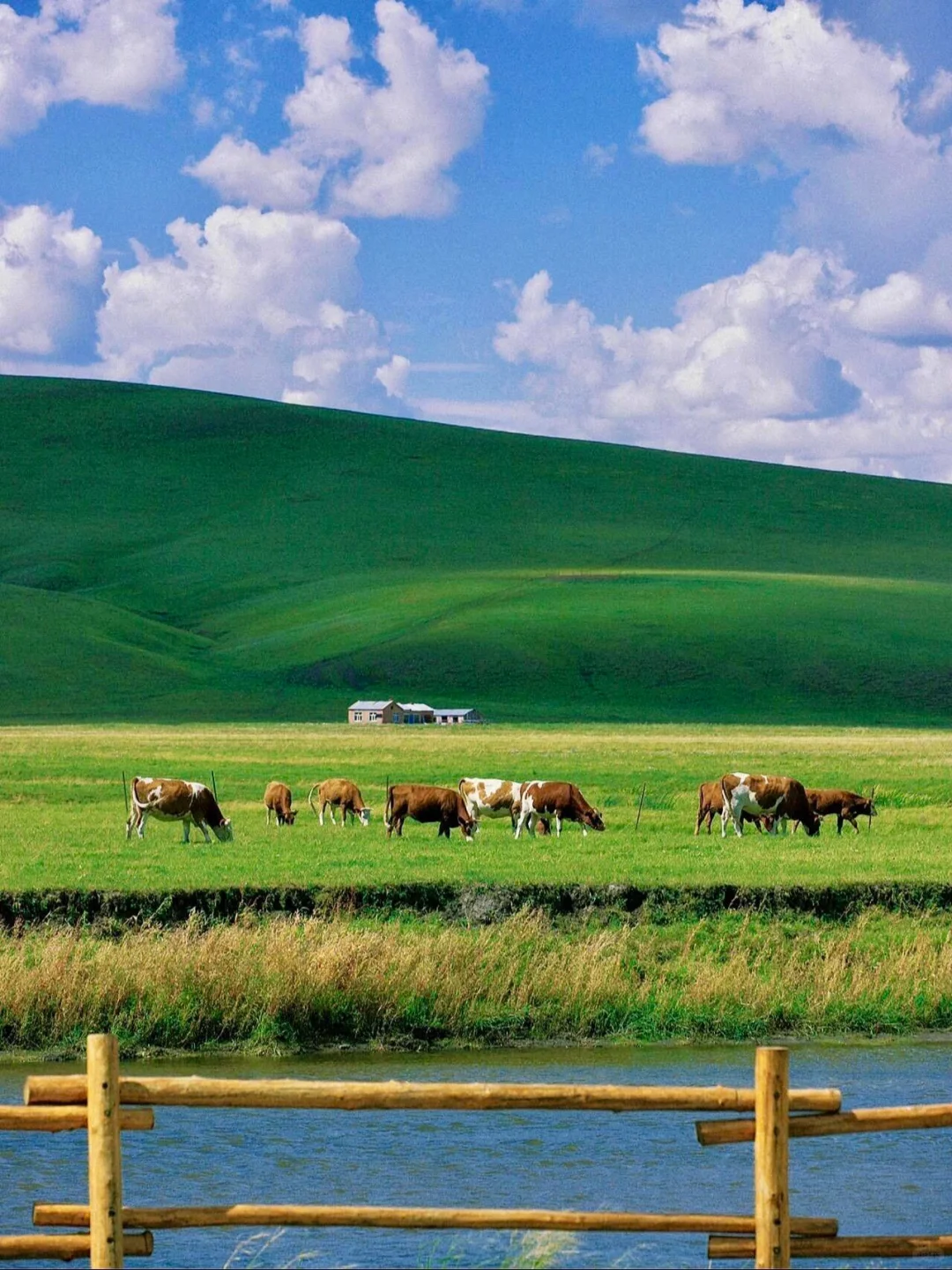 你以为阿尔山只是个小众景点？直到我亲眼看