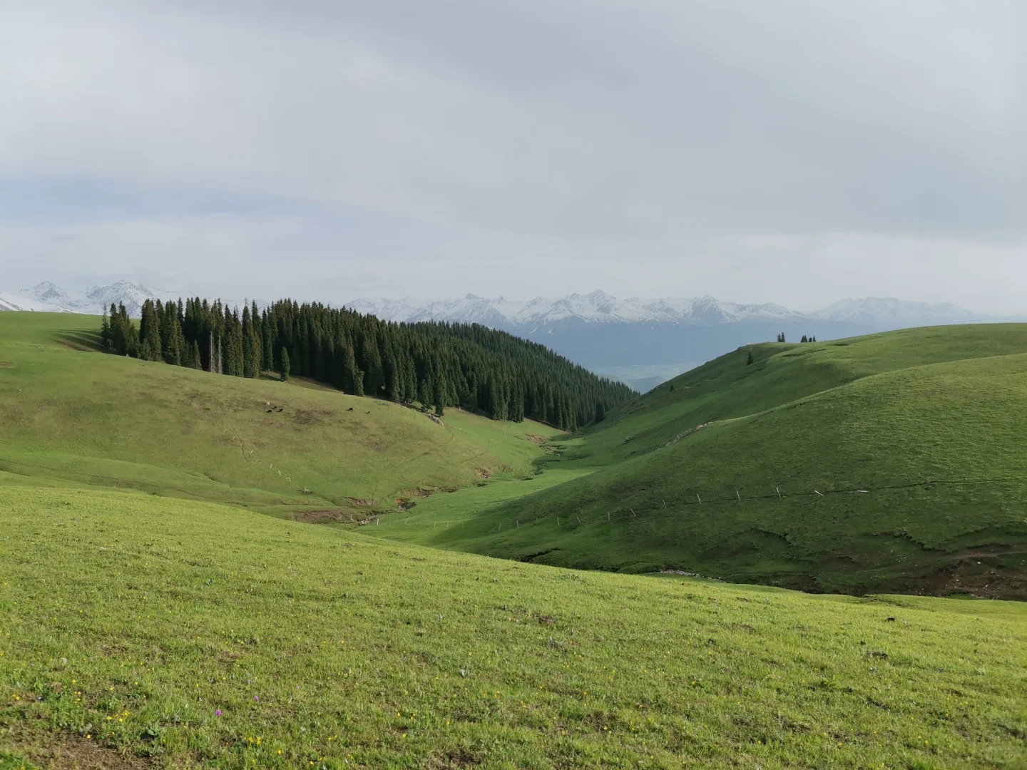 新疆喀拉峻景区游玩线路攻略