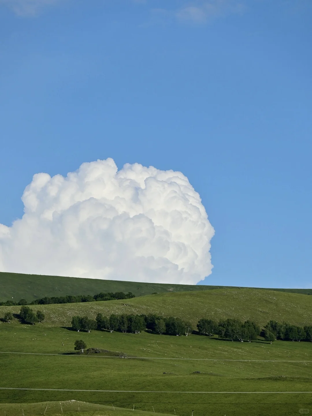以为新疆伊犁已经够美了！直到我去了……