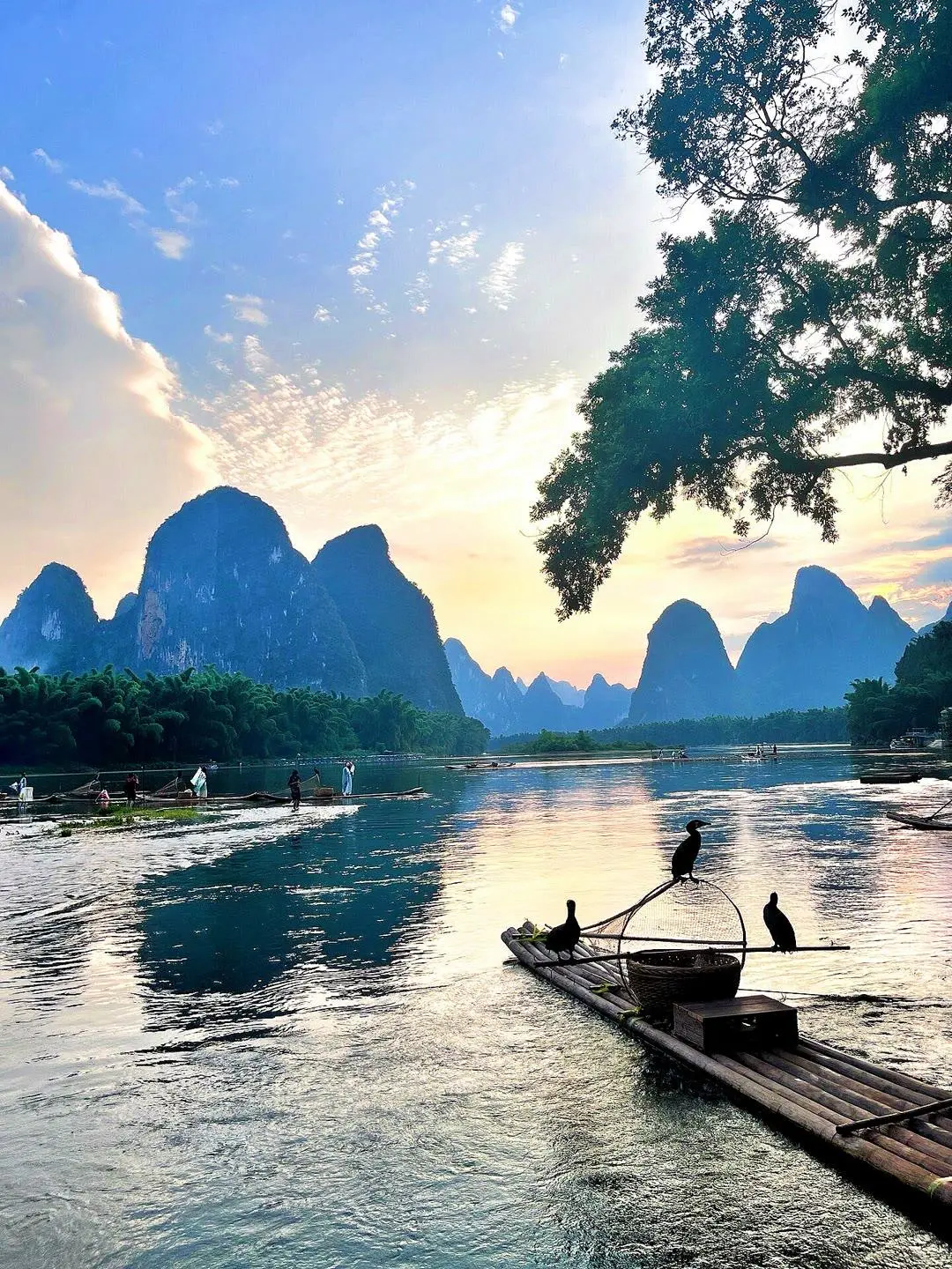 桂林山水甲天下 | 又到了撒欢的季节啦🌳