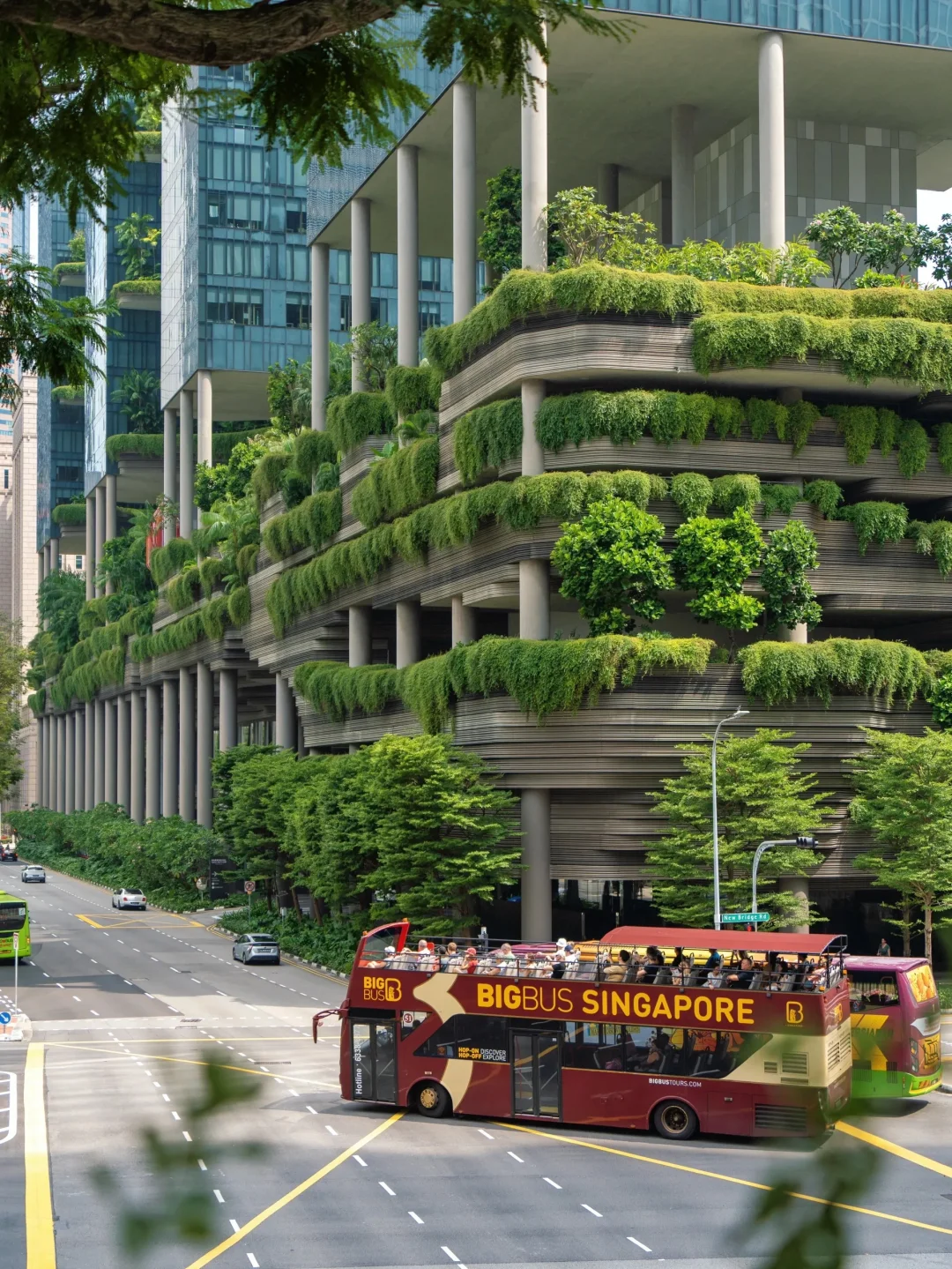 新加坡4天3夜｜人均5k玩转花园城市🌆