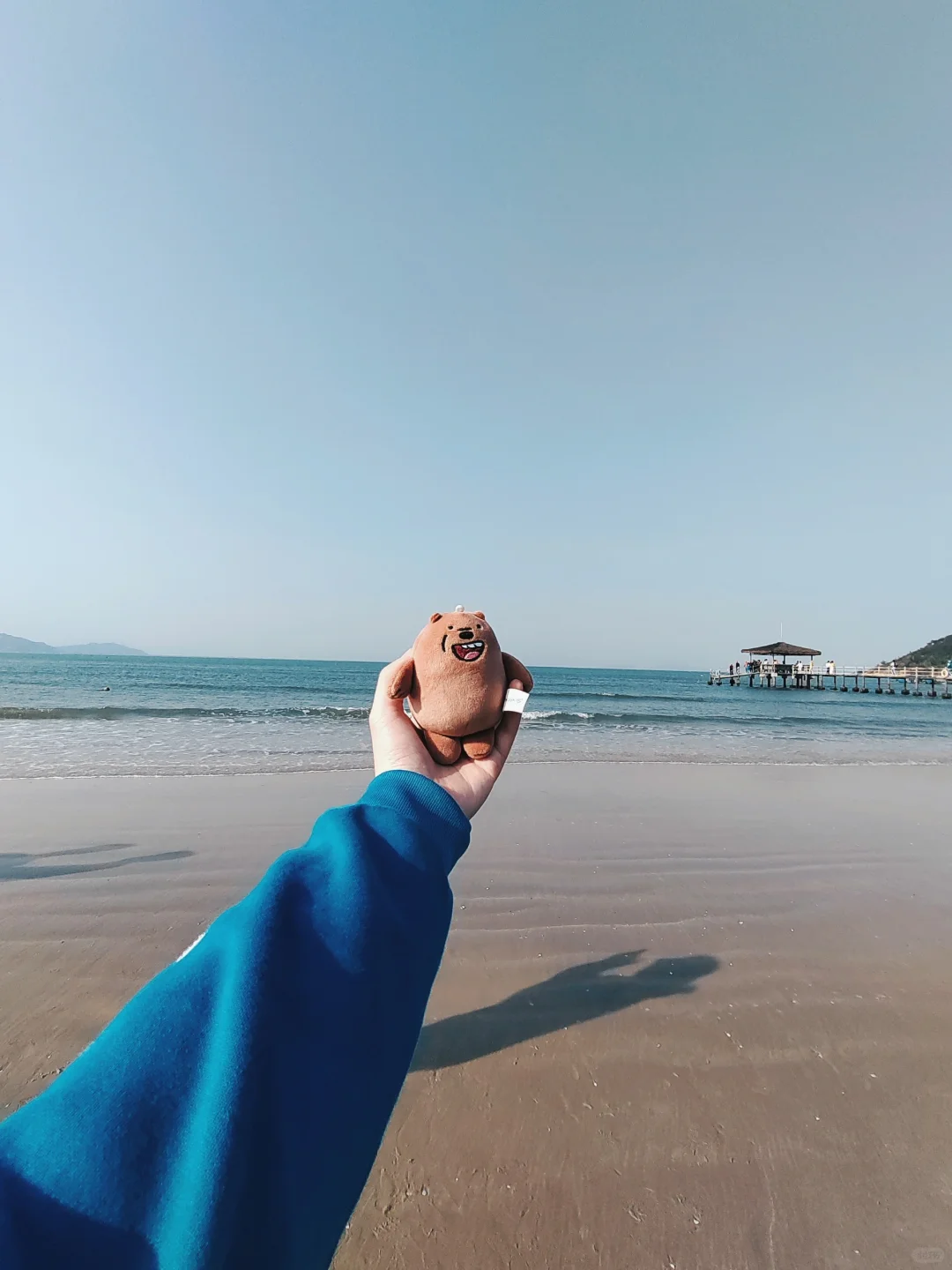 带着大大🐻去旅游