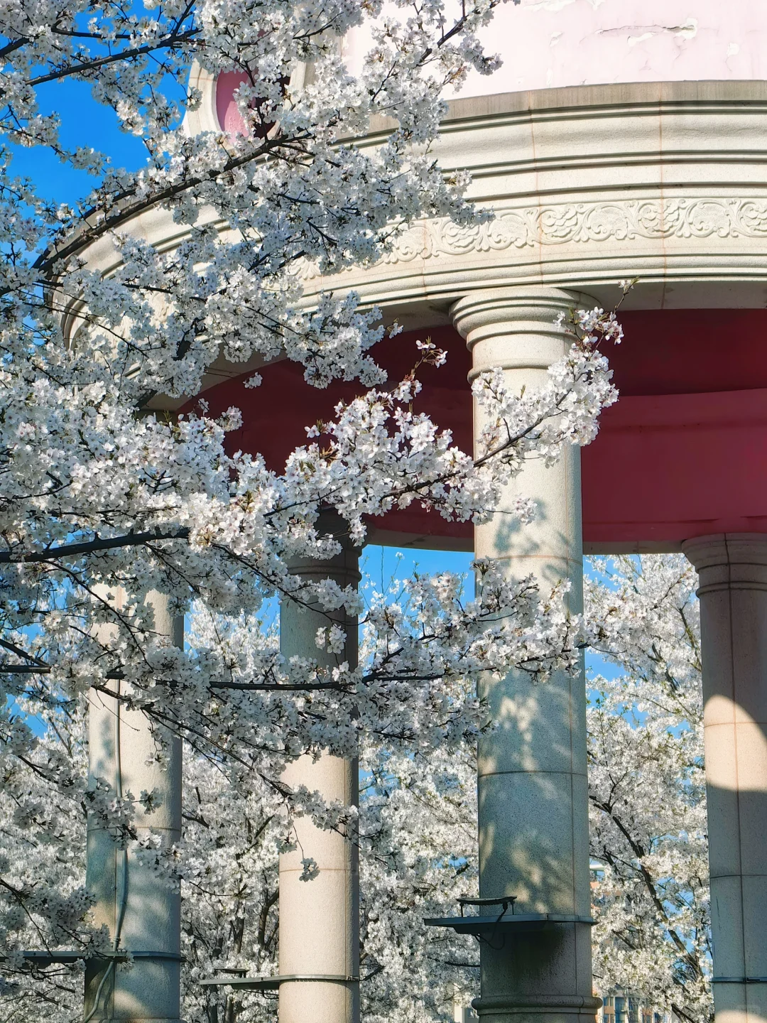 长沙十日晴！接下来是万万次的春和景明～