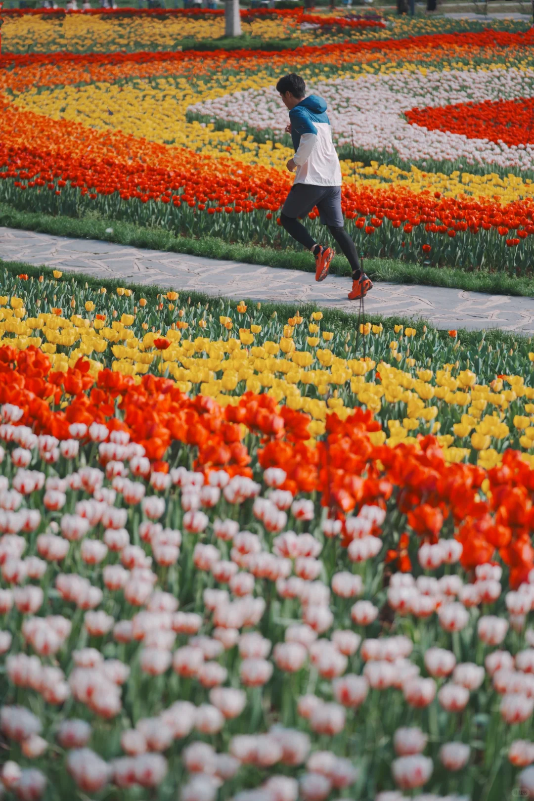 长沙十日晴！接下来是万万次的春和景明～