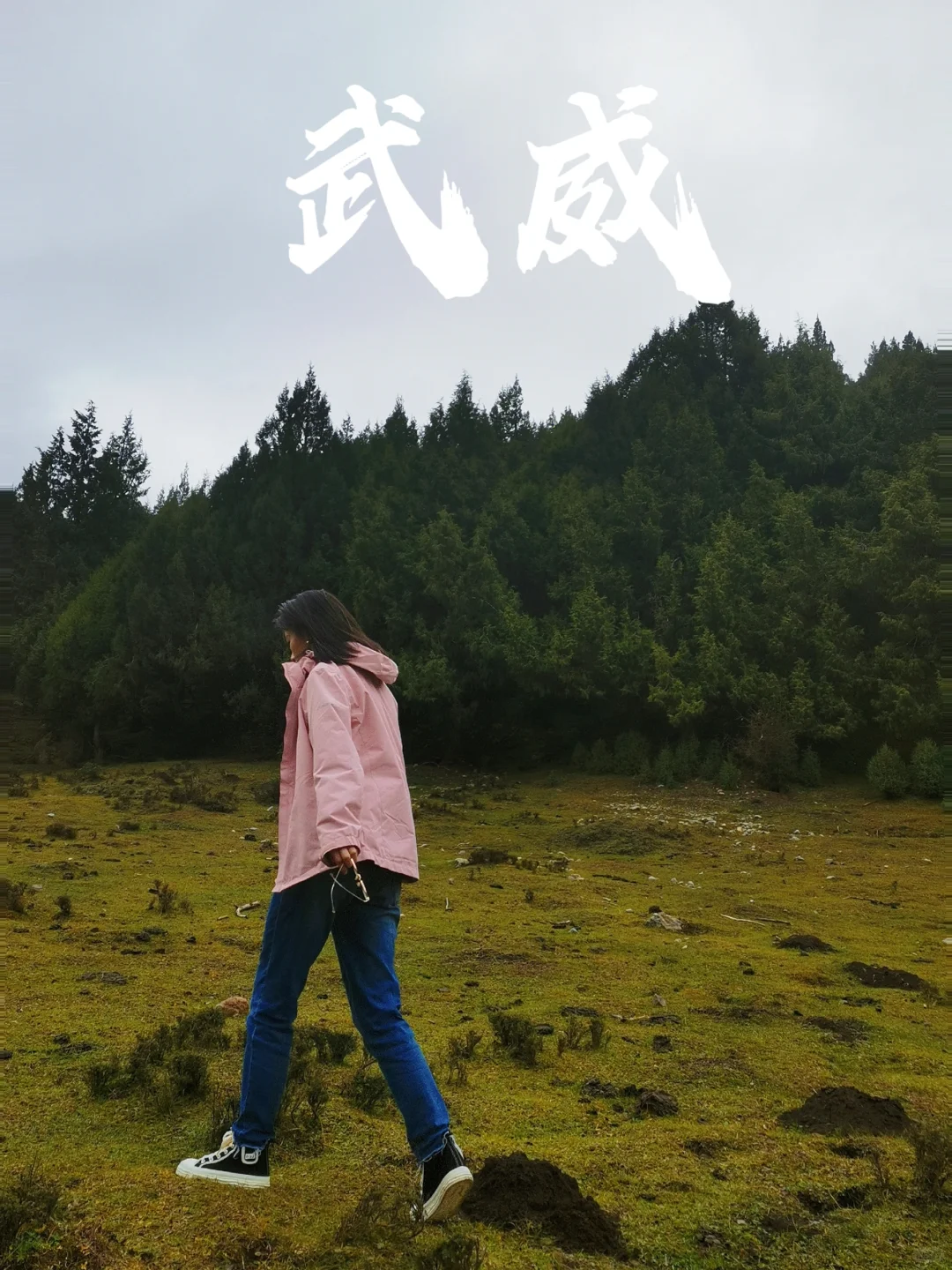 国庆冷门目的地—甘肃武威（攻略已出）