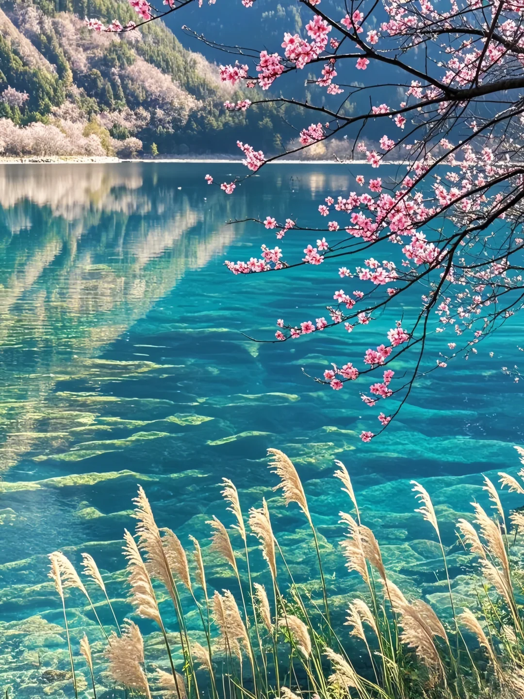 劝退不了一点，你可以永远相信九寨沟的春天