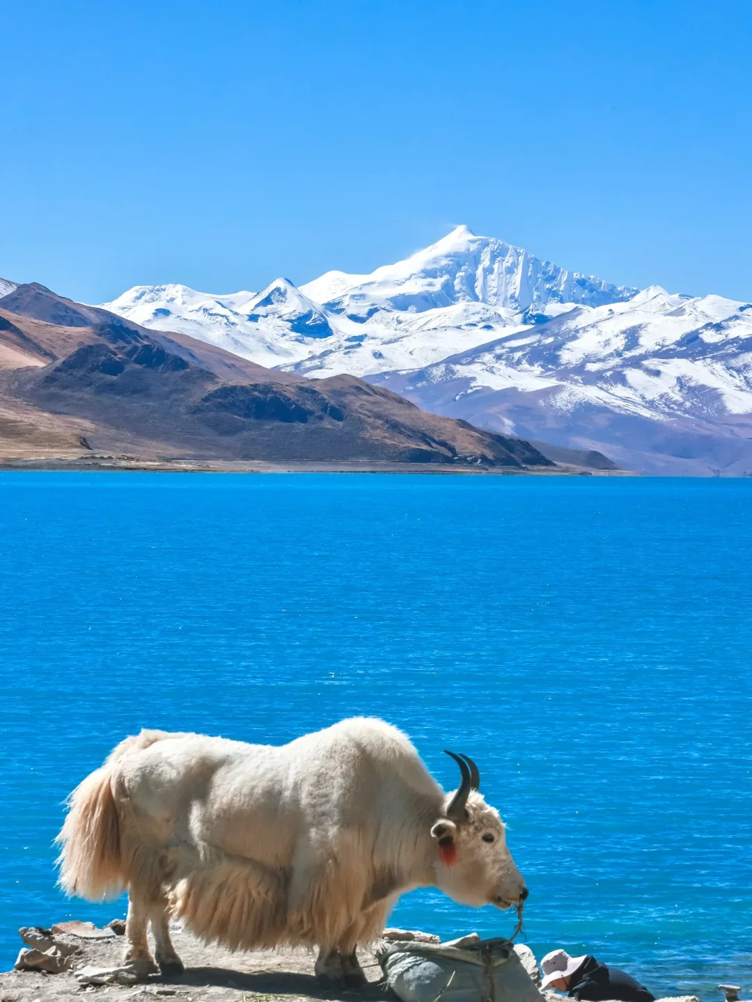 ‼️缺氧但不缺信仰的西藏之旅‼️