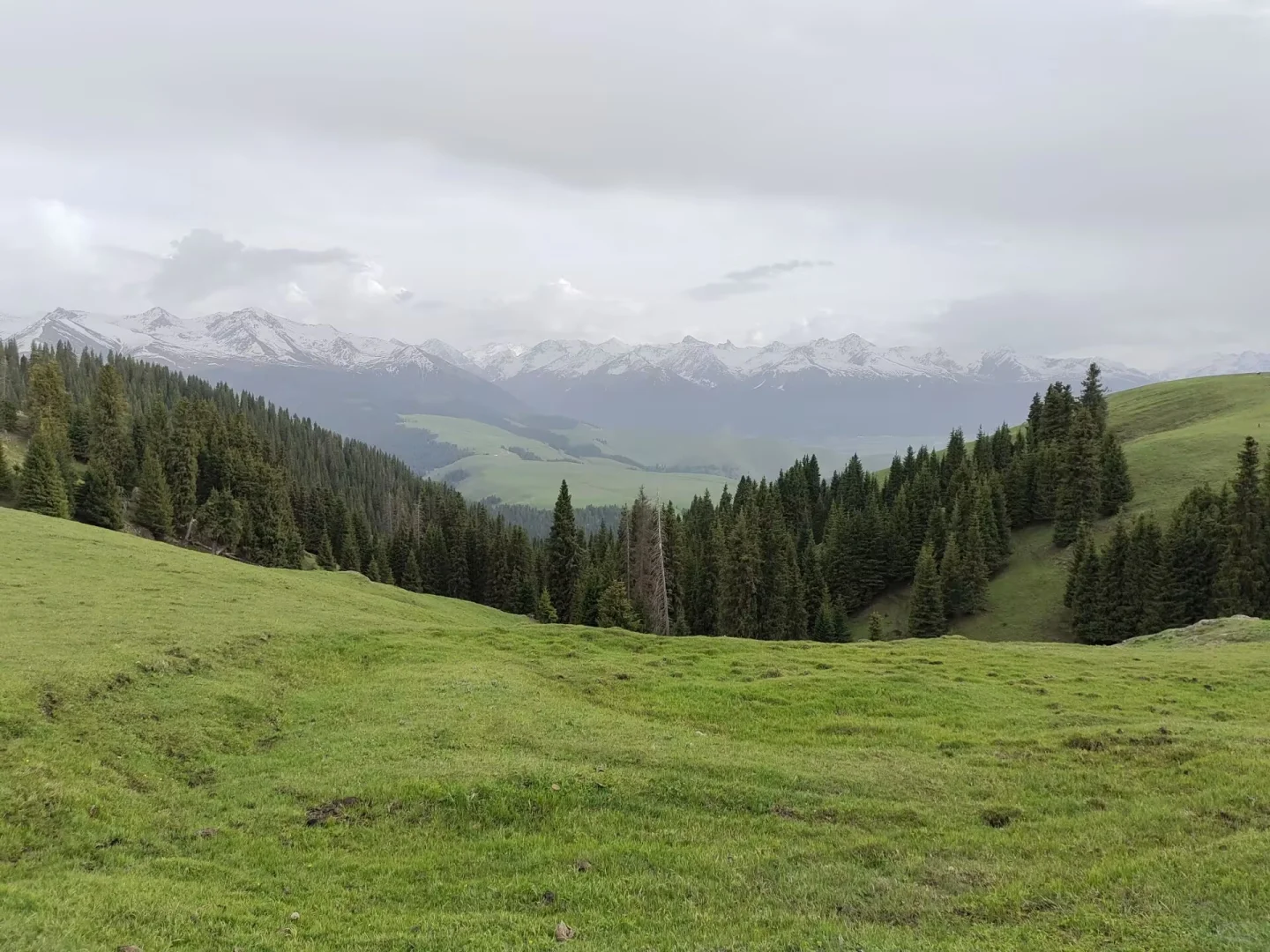 新疆喀拉峻景区游玩线路攻略
