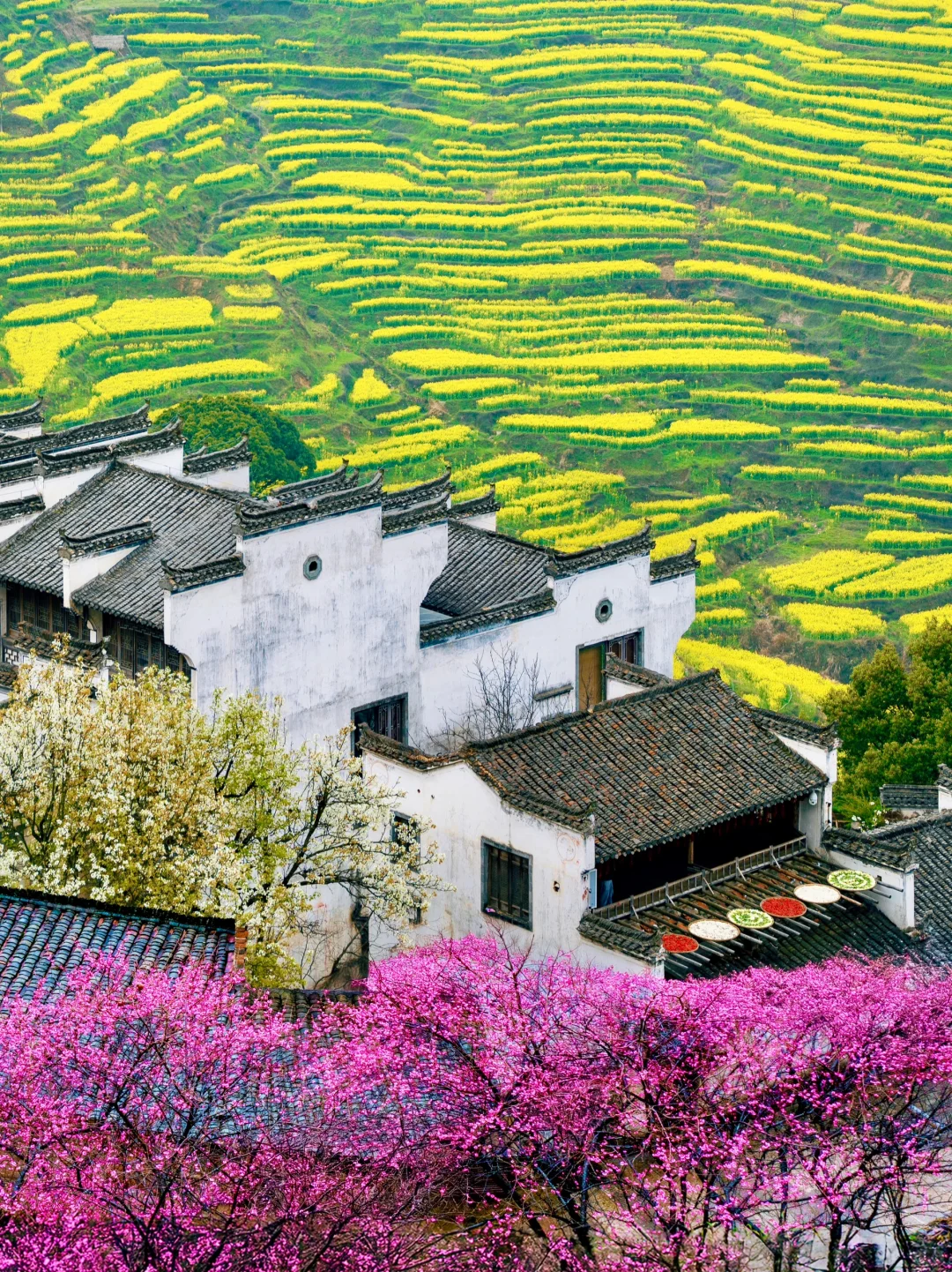 比起景德镇，我更爱国家地理推荐的这个小城