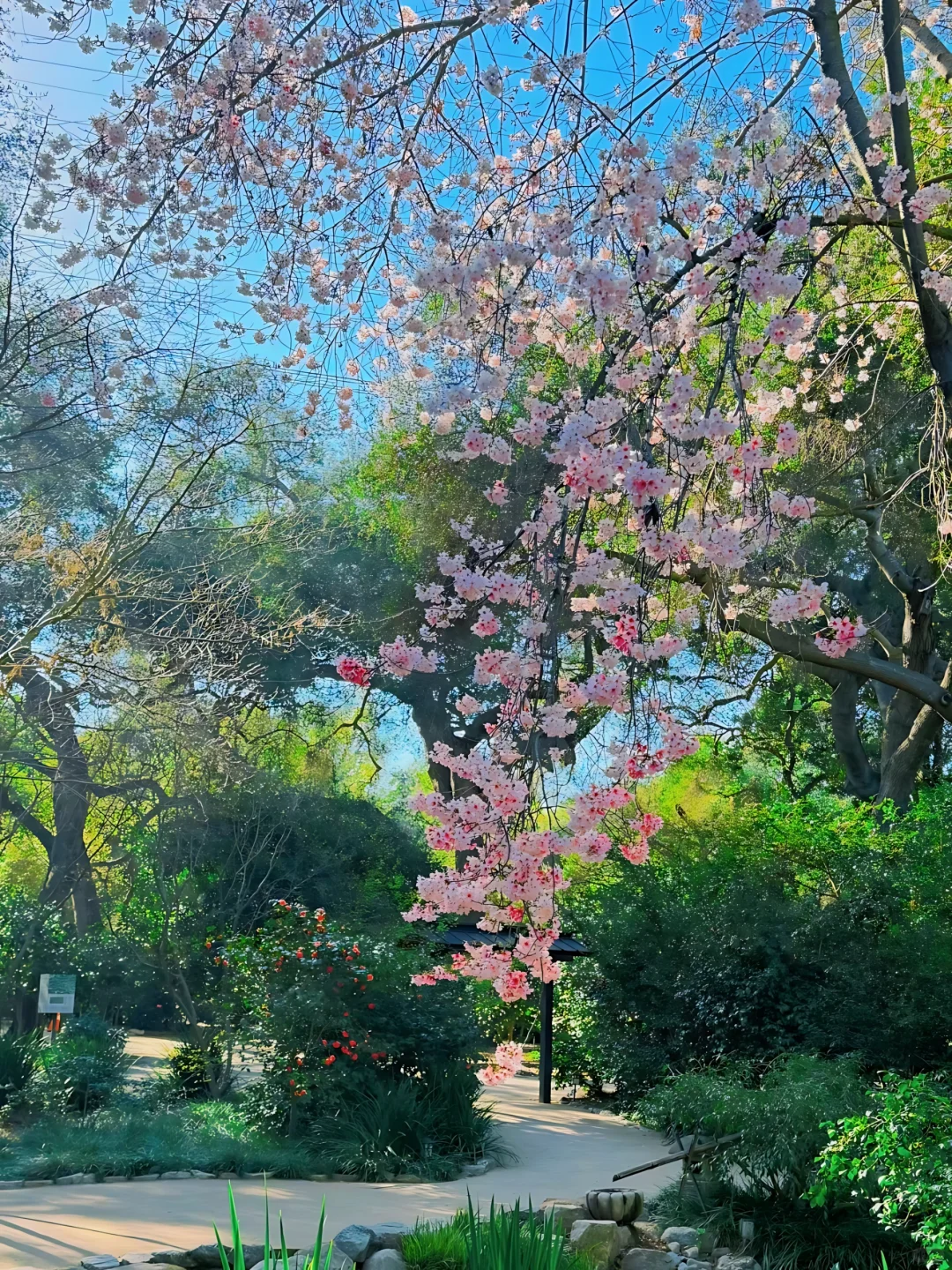 洛杉矶3月这七个免费景点!少去一个都损失