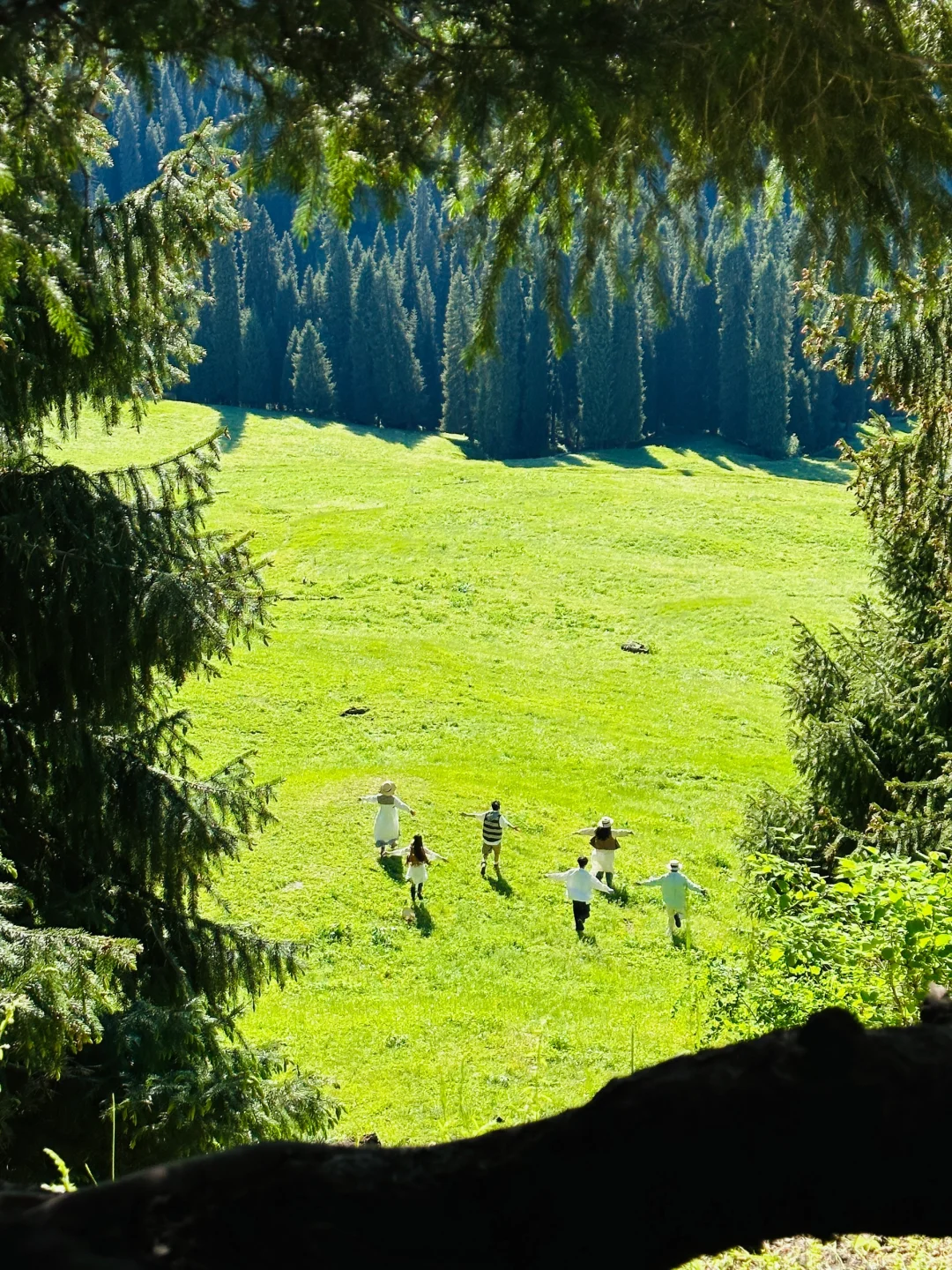 答应我‼️这辈子一定不要放弃去新疆🐮🐑……