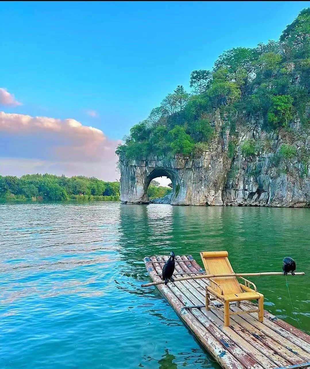 桂林山水甲天下 | 又到了撒欢的季节啦🌳