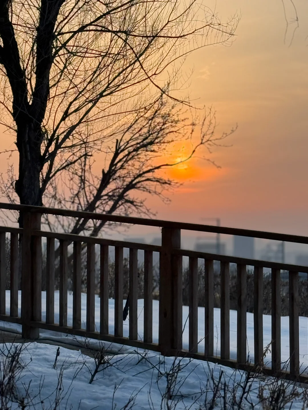 假装是游客的一下午🚶🏻‍♀️