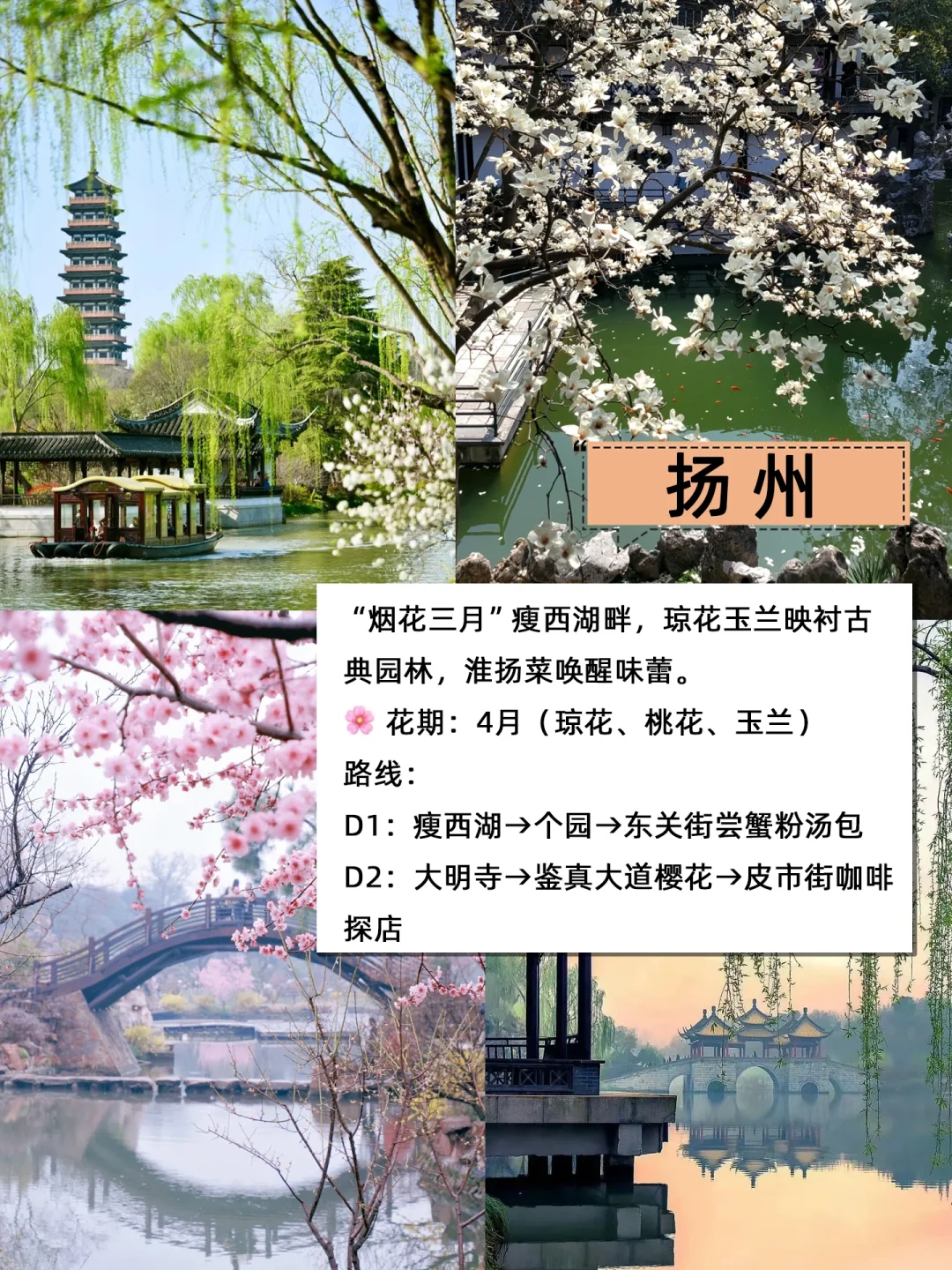 🌸3-4月旅游必看|春日城市赏花攻略