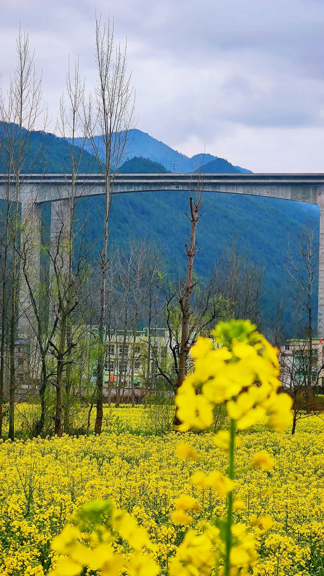 不在景区也能看到的风景