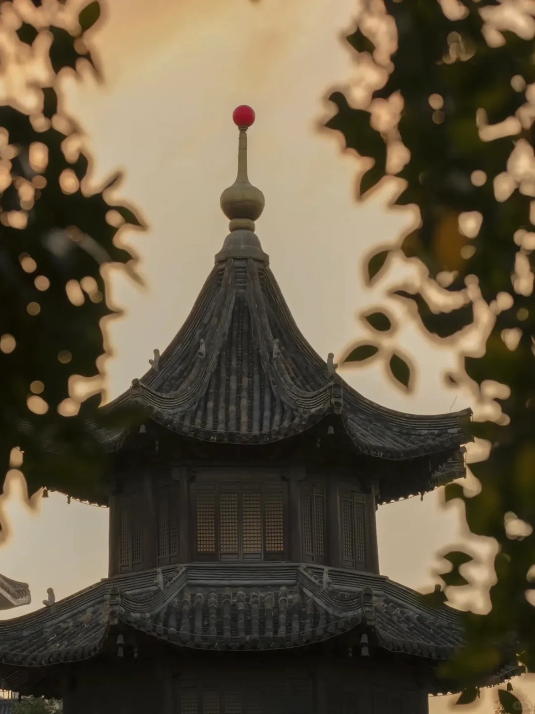 第一次带爸妈去扬州,去看烟雨江南