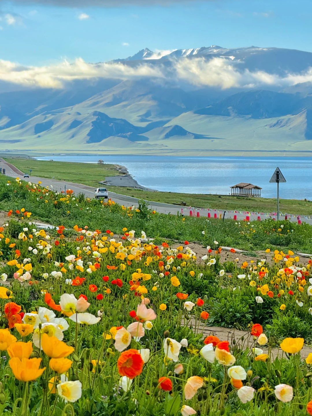 答应我‼️这辈子一定不要放弃去新疆🐮🐑……