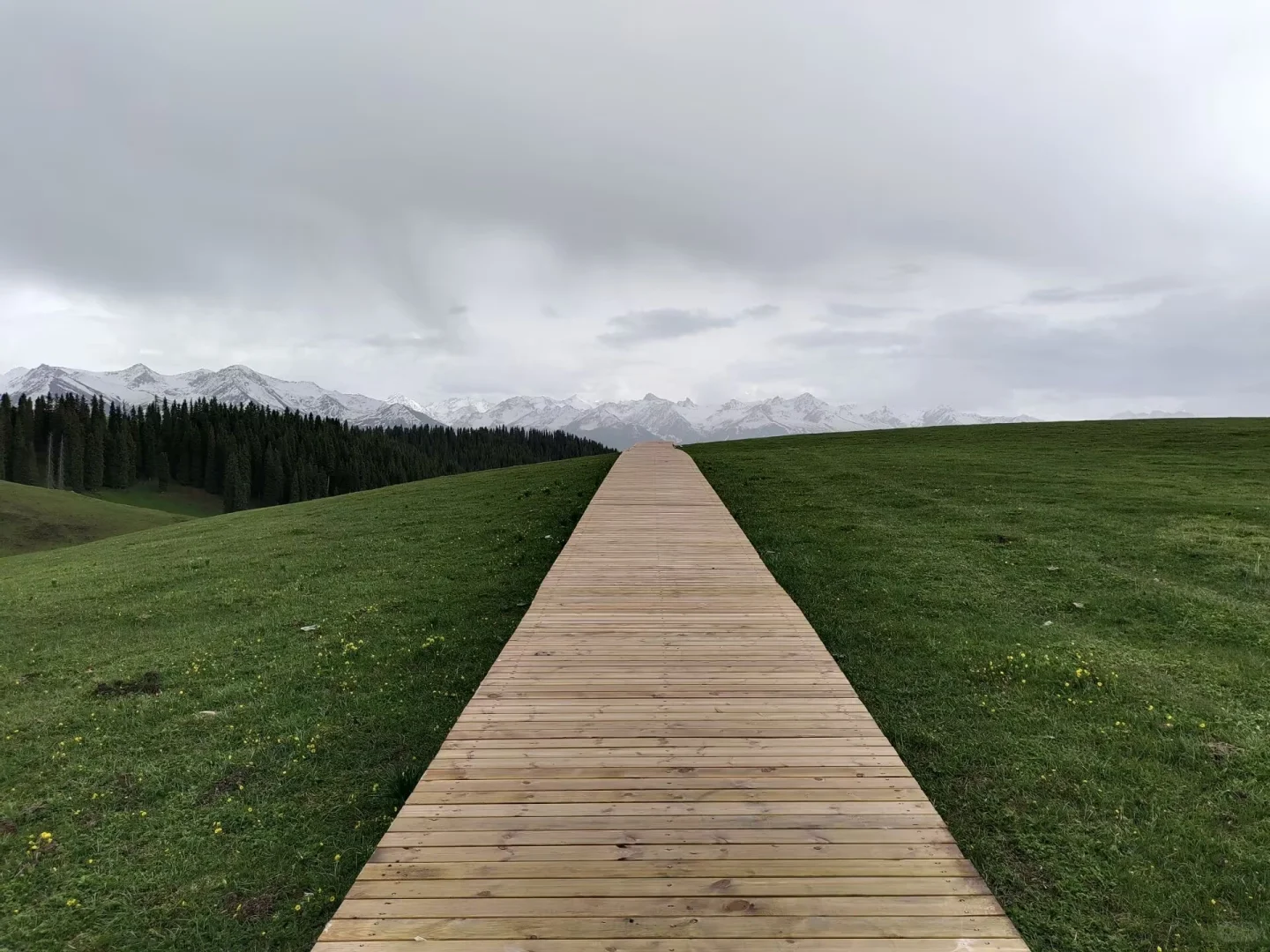 新疆喀拉峻景区游玩线路攻略