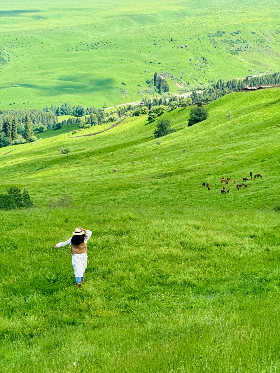 答应我‼️这辈子一定不要放弃去新疆🐮🐑……