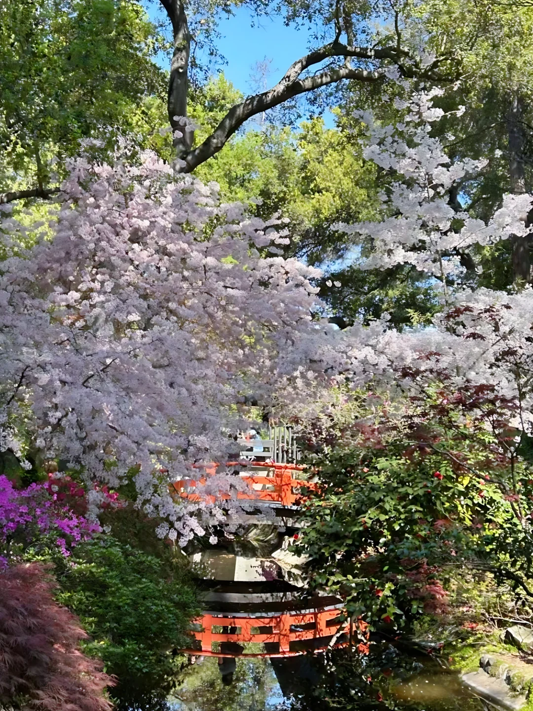 洛杉矶3月这七个免费景点!少去一个都损失