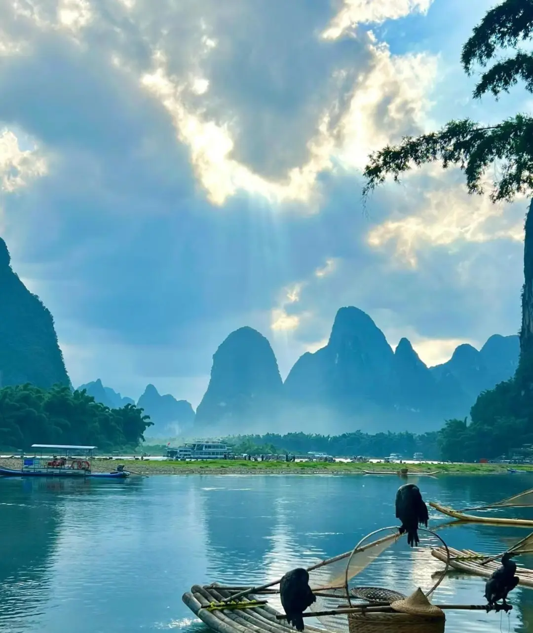 桂林山水甲天下 | 又到了撒欢的季节啦🌳