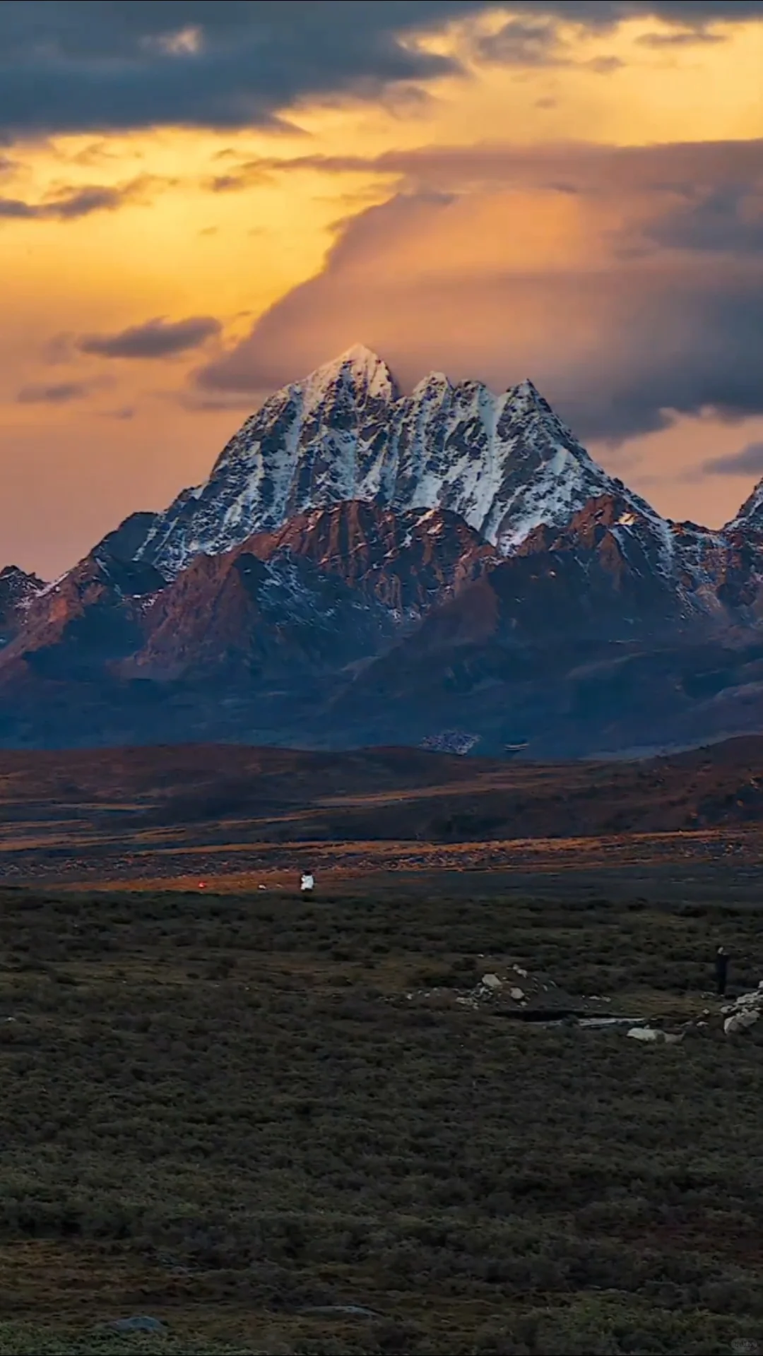 3.22📍鱼子西live实况，2天小团人均200+