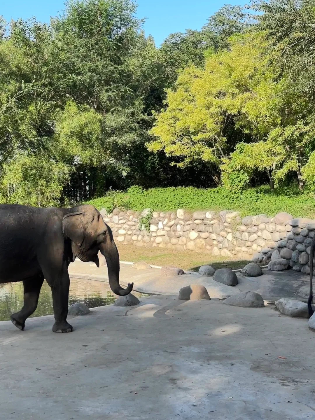 北京：）接下来好逛的❻个漂亮园子合集