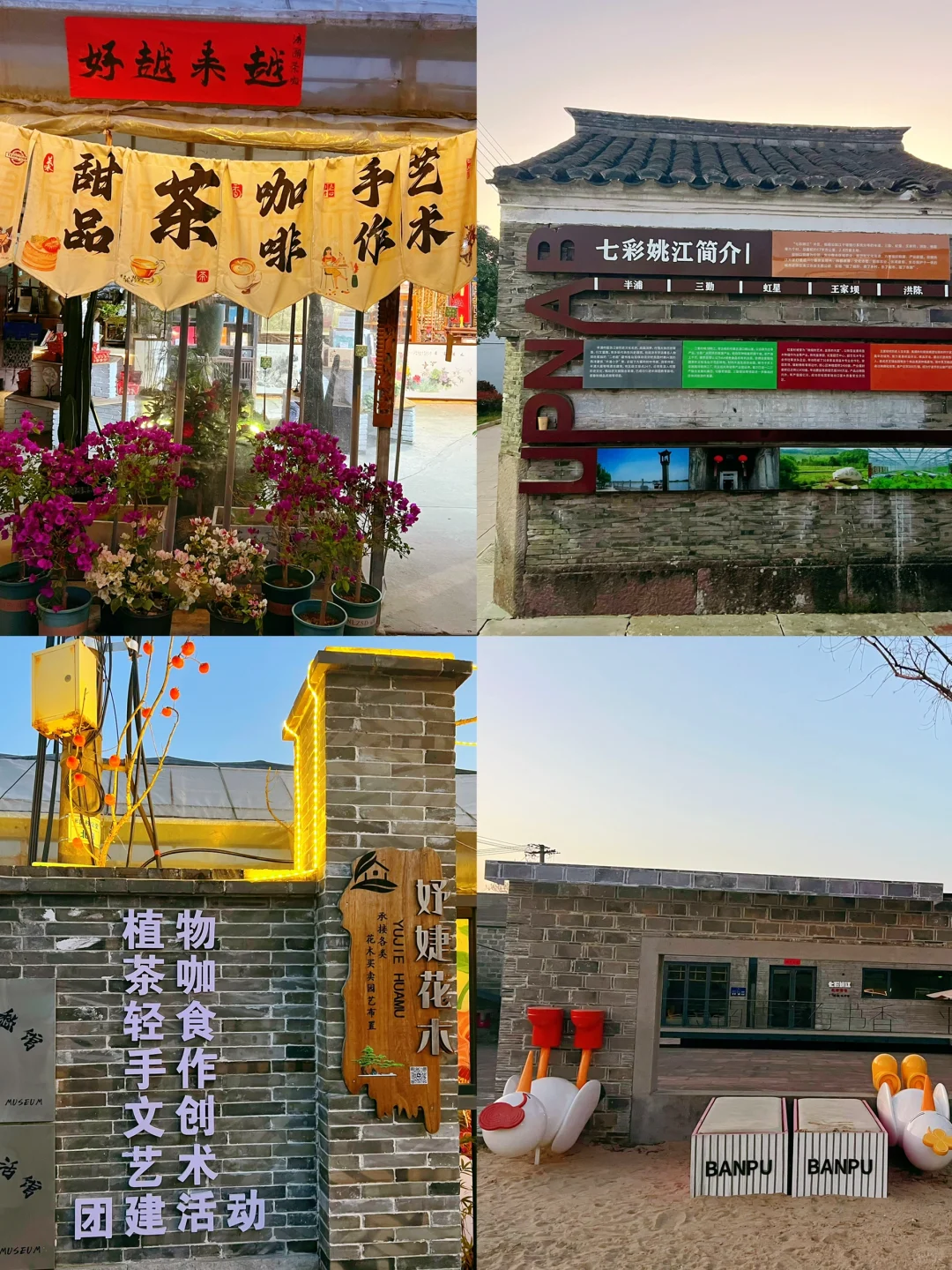 谁懂啊……来了不想走了😭半浦村好美🌸亲子游