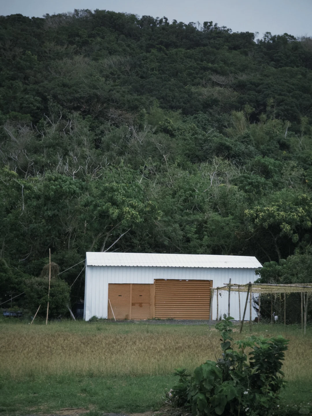 垦丁｜像一部文艺电影