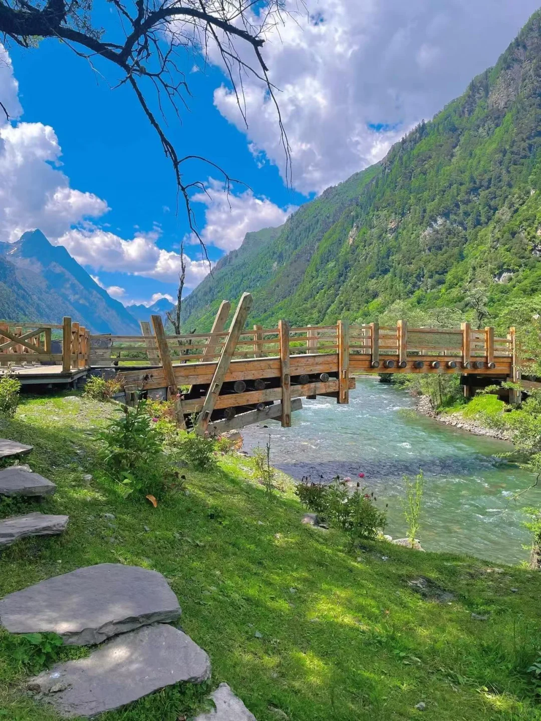 夏季的四姑娘山❗️才是川西真正的顶流😭