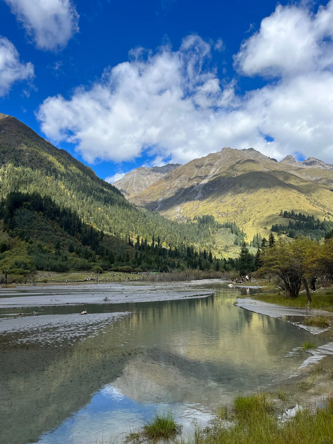 夏季的四姑娘山❗️才是川西真正的顶流😭