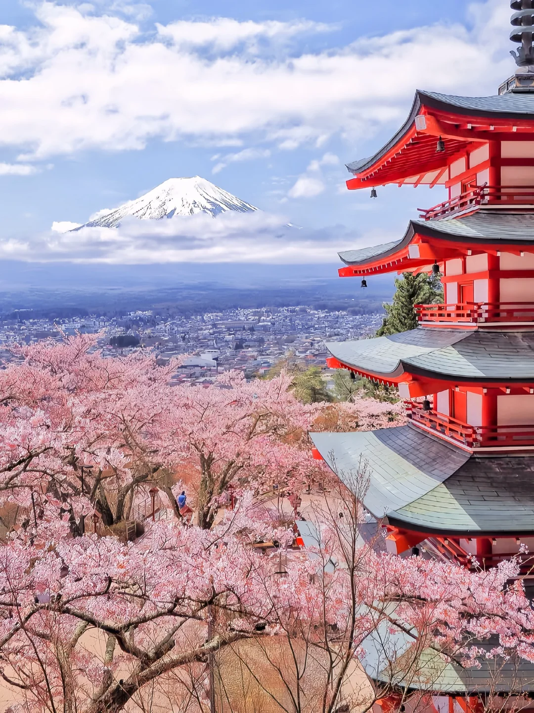 Sakura Escape 🌸 春日限定樱花之旅 🇯🇵