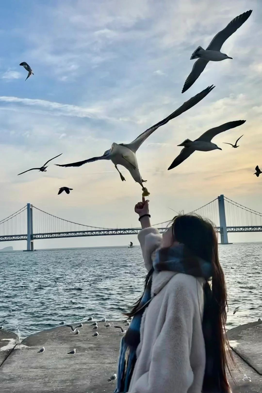 长春-大连三天两夜游🌊 人均500💰