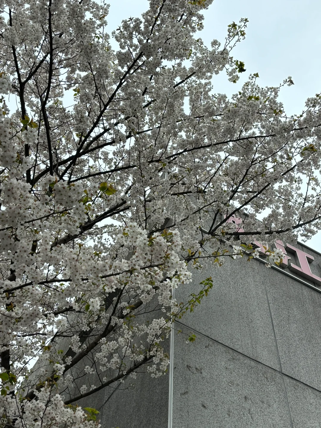 武汉三天两晚旅游攻略