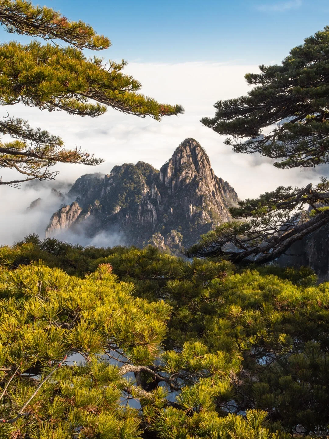 我真的很少用“震撼”来形容一个地方‼黄山