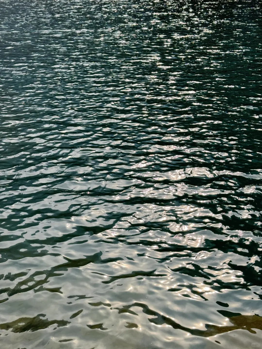 三月中下旬，都给我冲宝泉💯💯💯