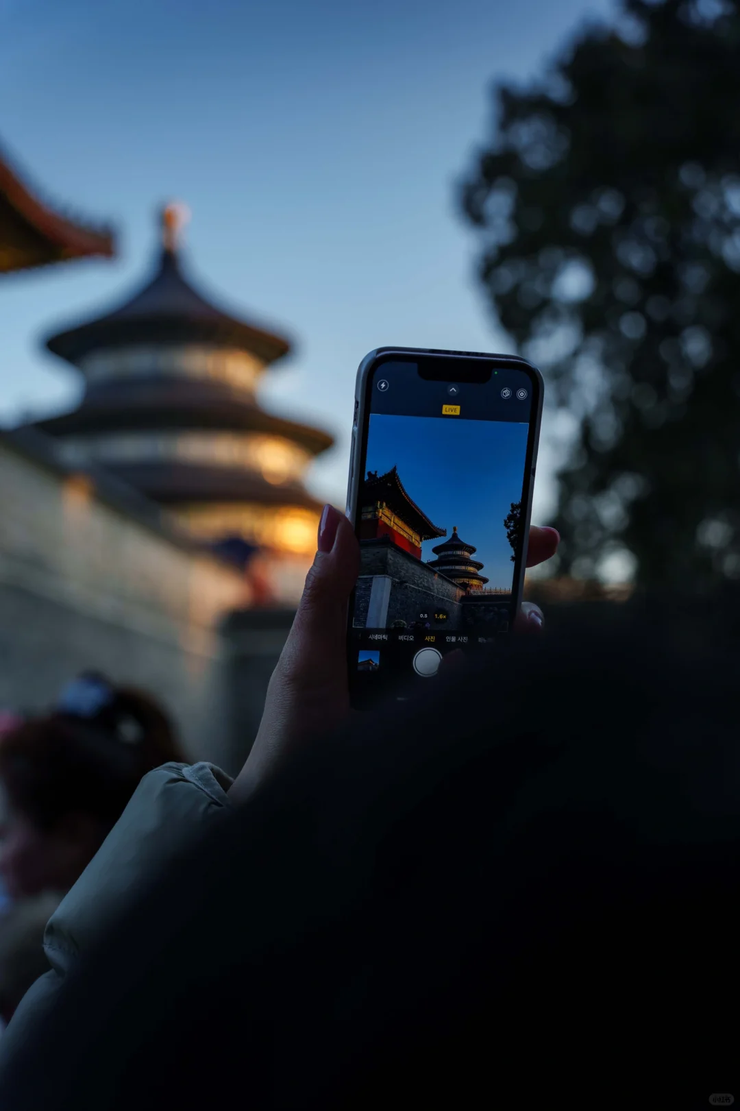 天坛1️⃣8️⃣张绝美机位‼️