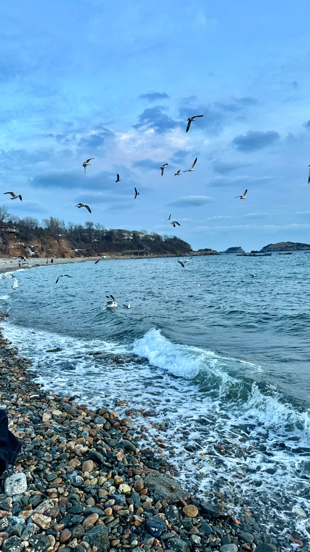 长春-大连三天两夜游🌊 人均500💰