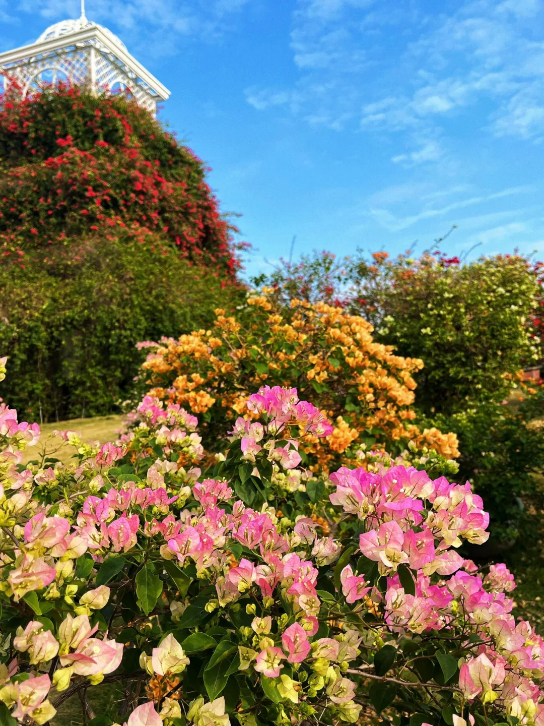 南宁青秀山，3小时 33元省力攻略推荐❗️❗️
