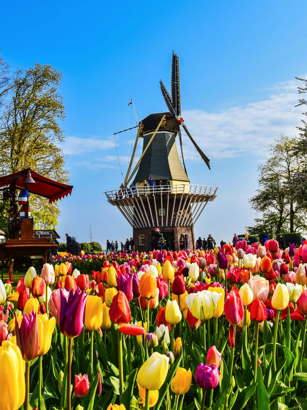拜托😭大家去荷兰旅游千万别无脑冲啊