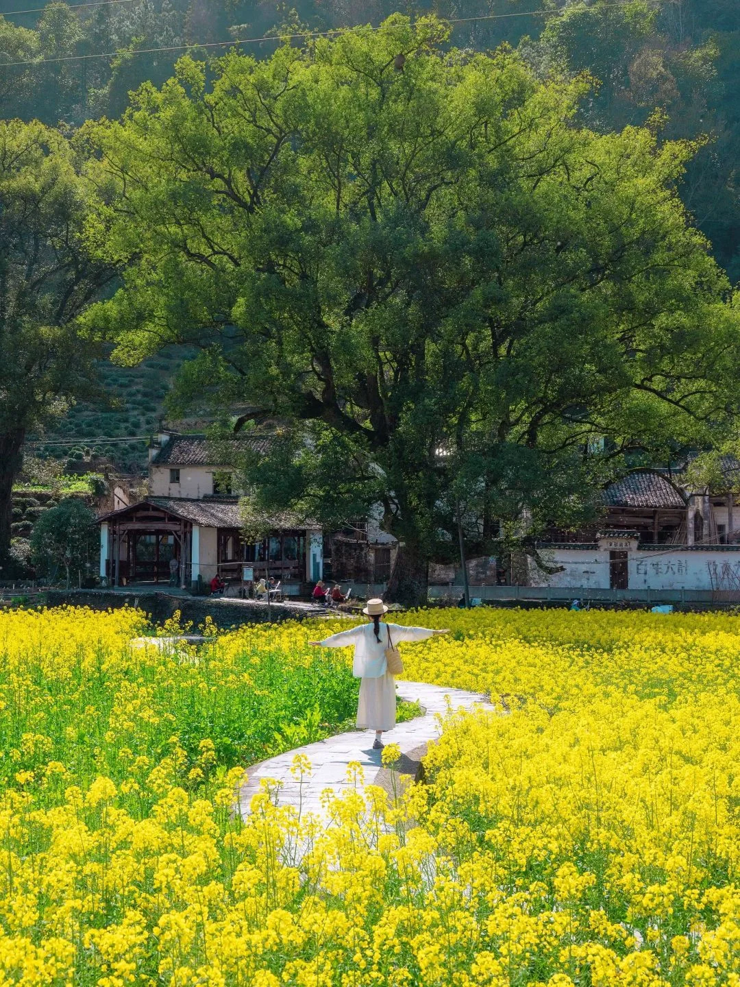 我真的很少用“震撼”来形容一个地方‼黄山