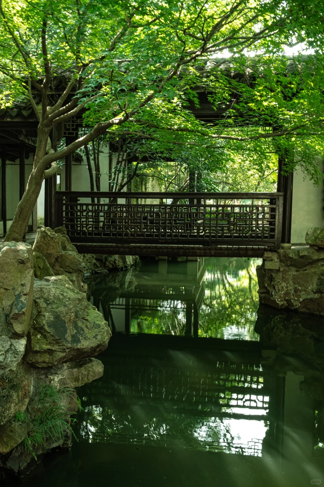 北京出发｜挑战每周出去玩（31/50）📍无锡